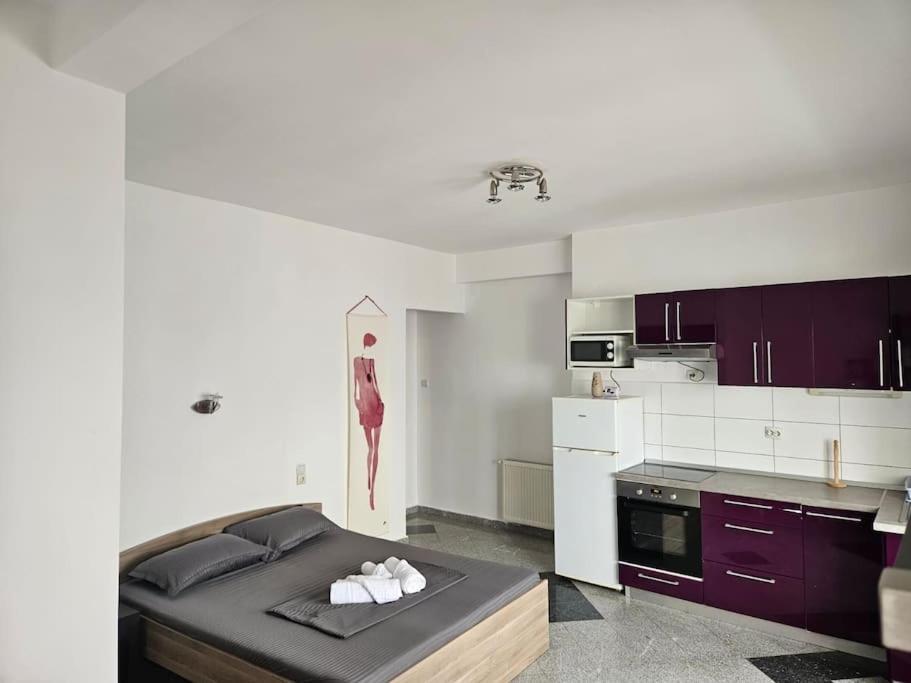 Nice Studio In The Heart Of City بوخارست المظهر الخارجي الصورة